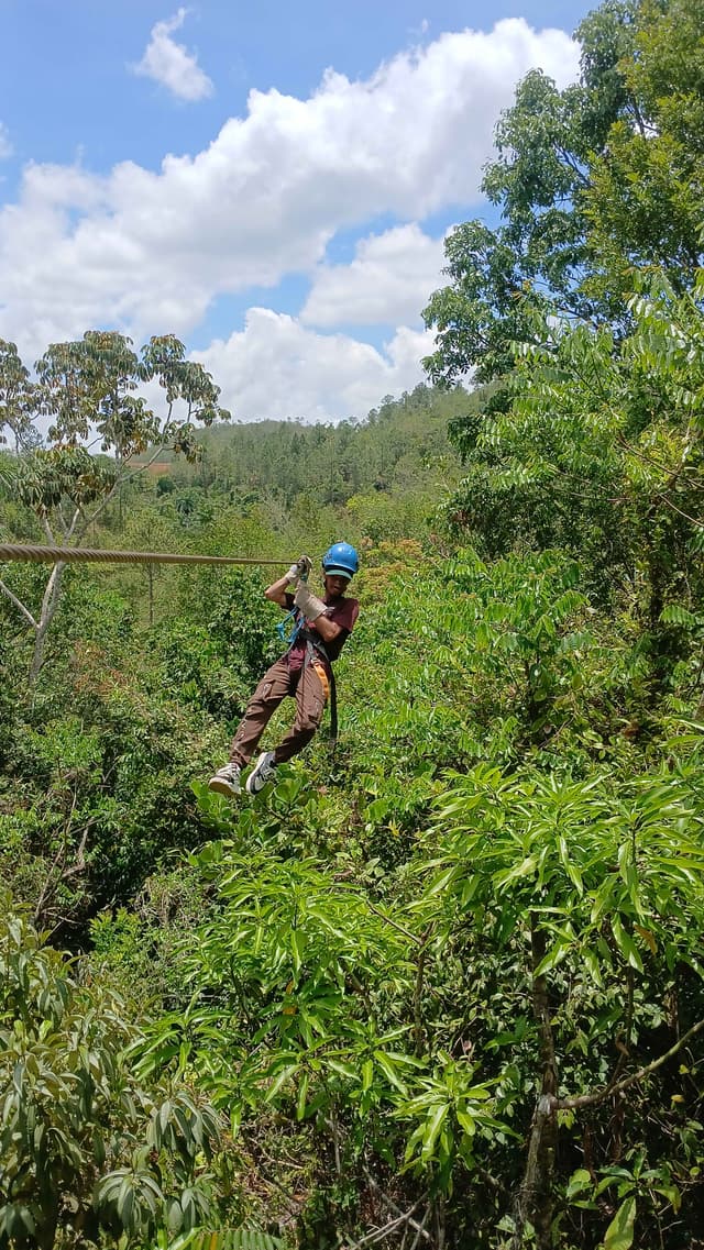 Canopy in Viñales
